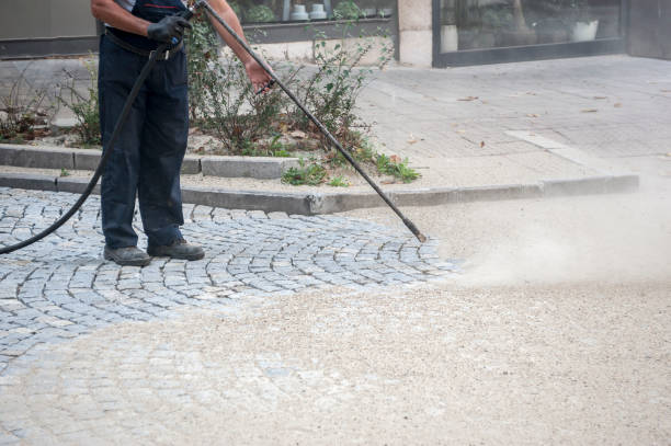 Best Animal Enclosure Cleaning  in North Babylon, NY